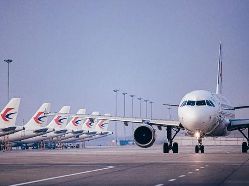 航空保險理賠困境 為何遇難乘客購買多份保險仍遭拒賠？